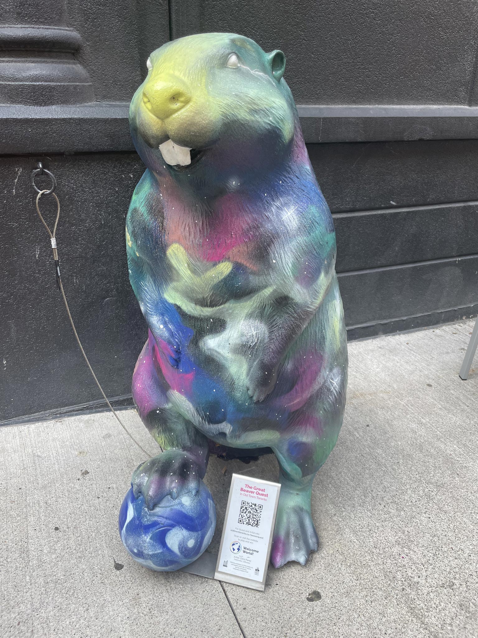 World Beaver