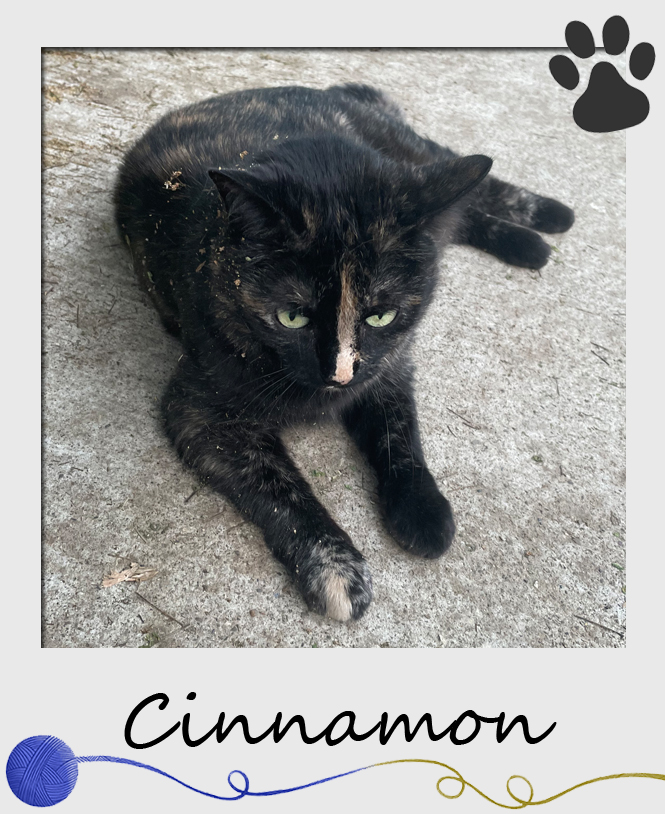 Cinnamon